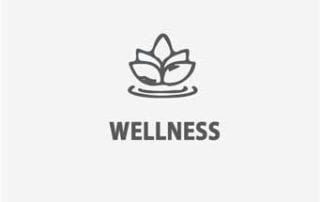 Wellness Icon- Small Business Loans